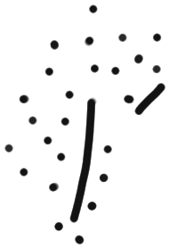 Image of the occurrence